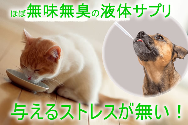 サンプルメージ