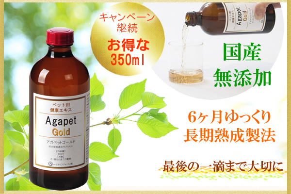 サンプルイメージ