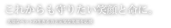 犬・猫・ハムスター・フクロモモンガ・鳥・ウサギ・リス・フェレットなど、犬や猫、小動物などにペット用サプリメント